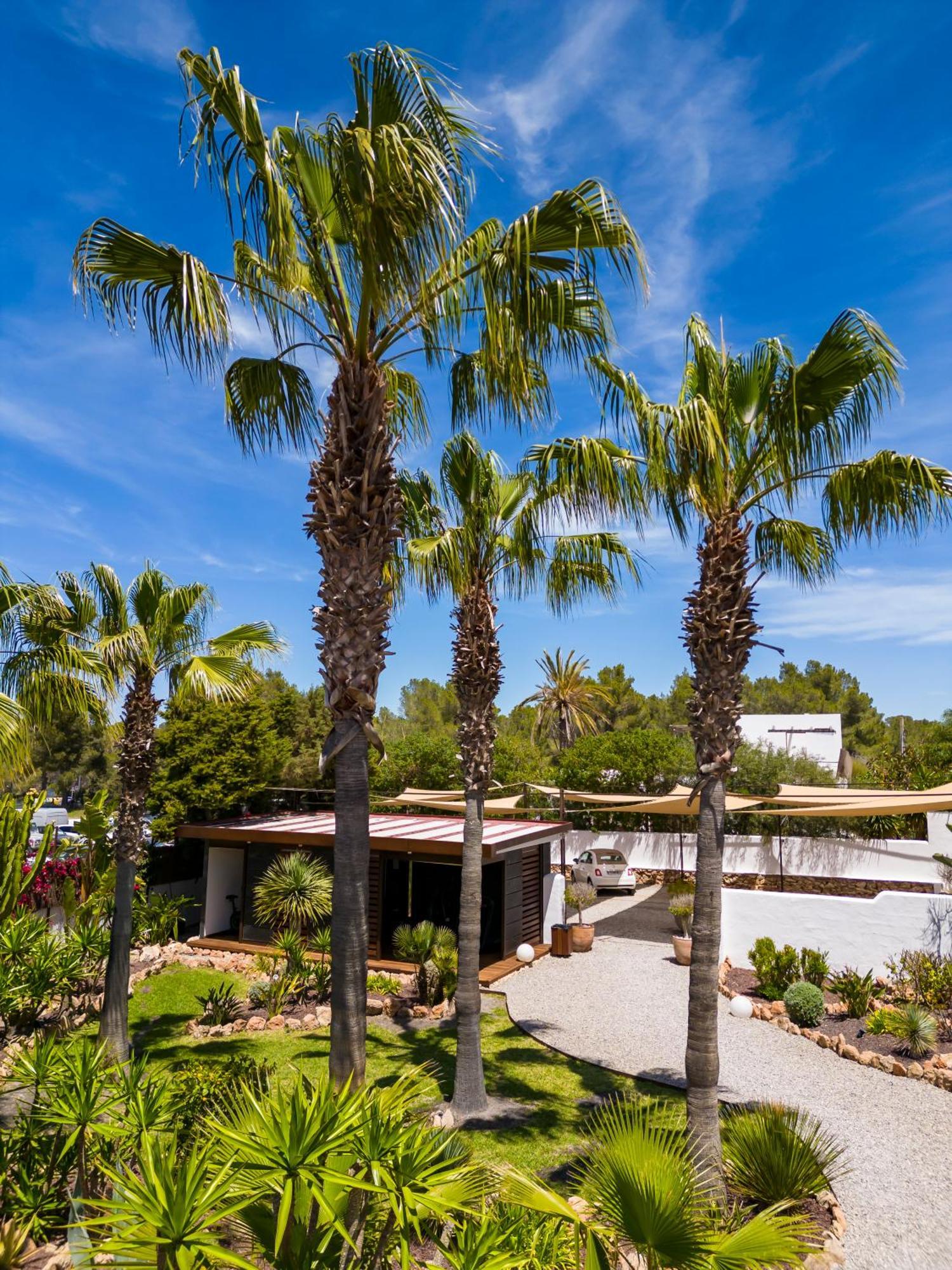 Hotel Boutique Ses Pitreras San Antonio (Ibiza) Exterior foto